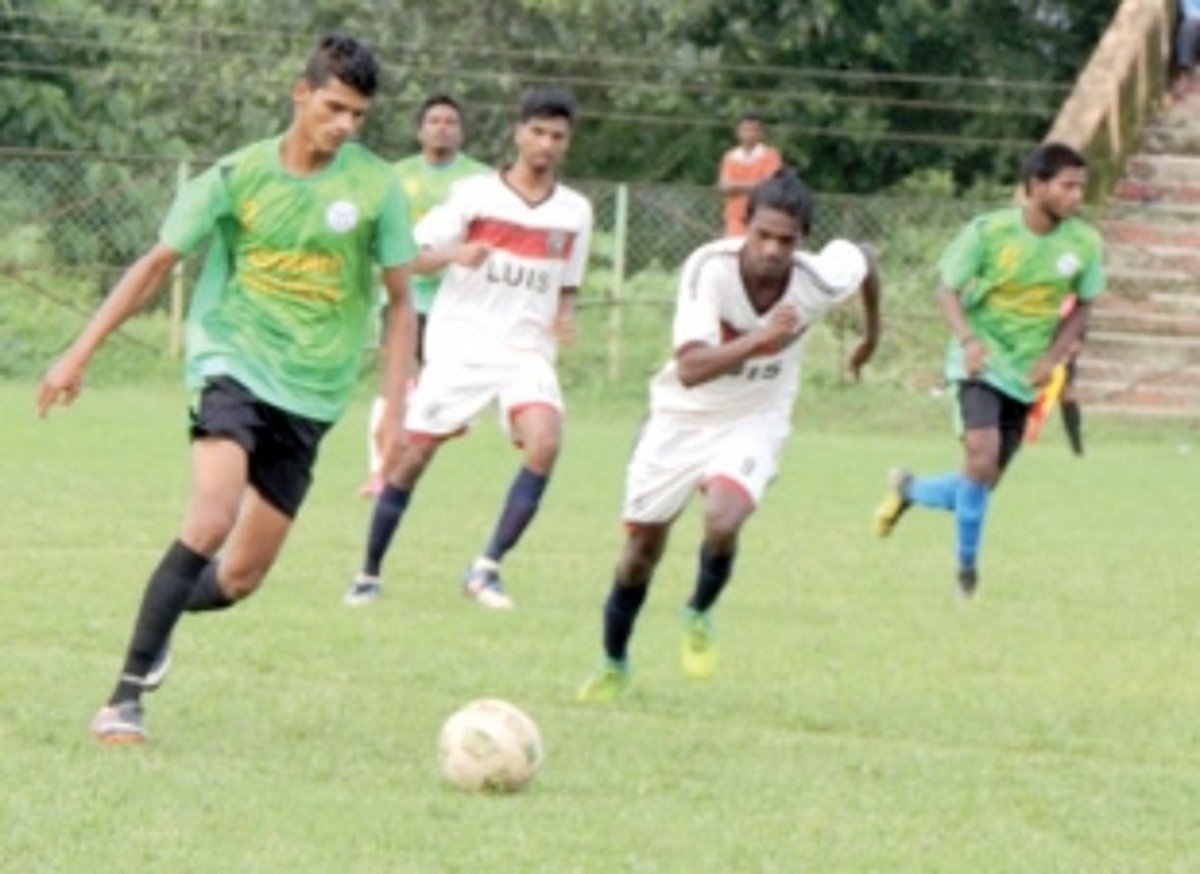 Raia SC down Dicarpale SC