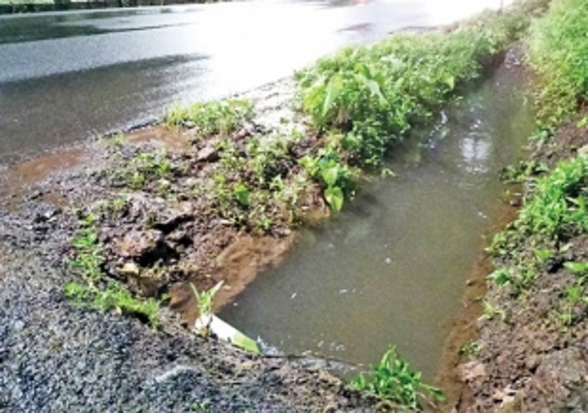 Raia crusader demanding clean drain dies due to drowning in it