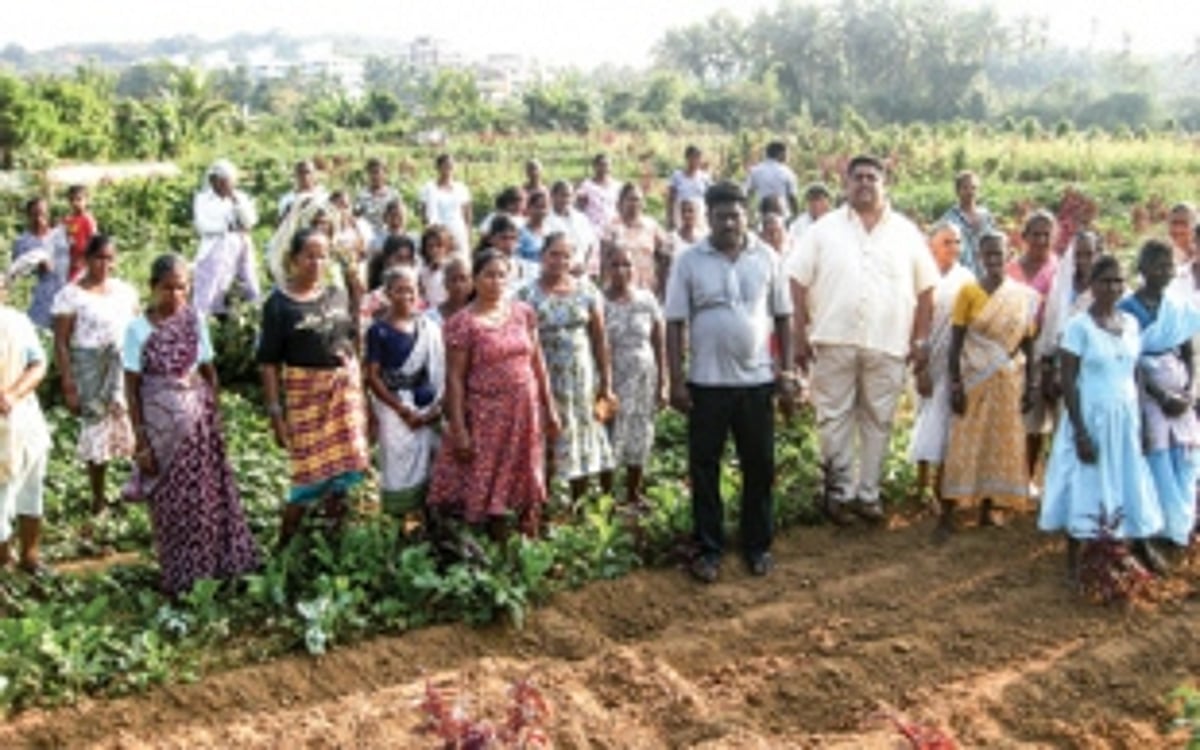 Raia farmers angry over sewage water in irrigation nullah