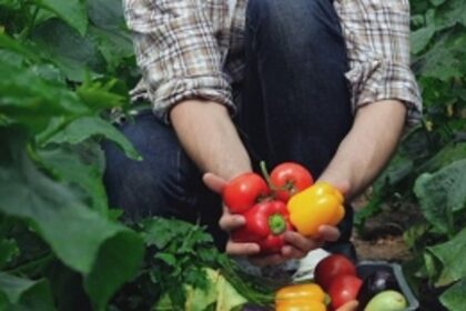 Raia panchayat to boost agri, help villagers set up kitchen gardens