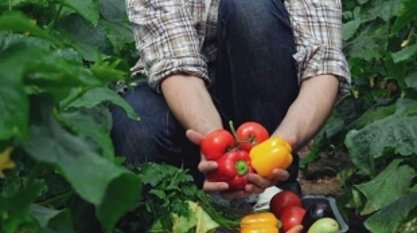 Raia panchayat to boost agri, help villagers set up kitchen gardens