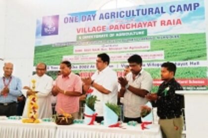 Raia trains villagers to create kitchen gardens to ensure pesticide-free produce