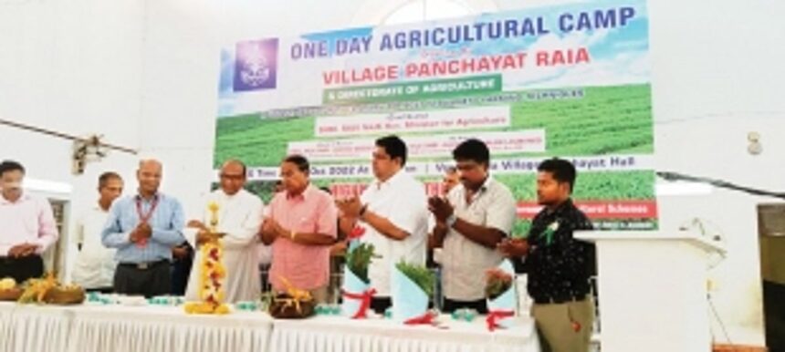 Raia trains villagers to create kitchen gardens to ensure pesticide-free produce