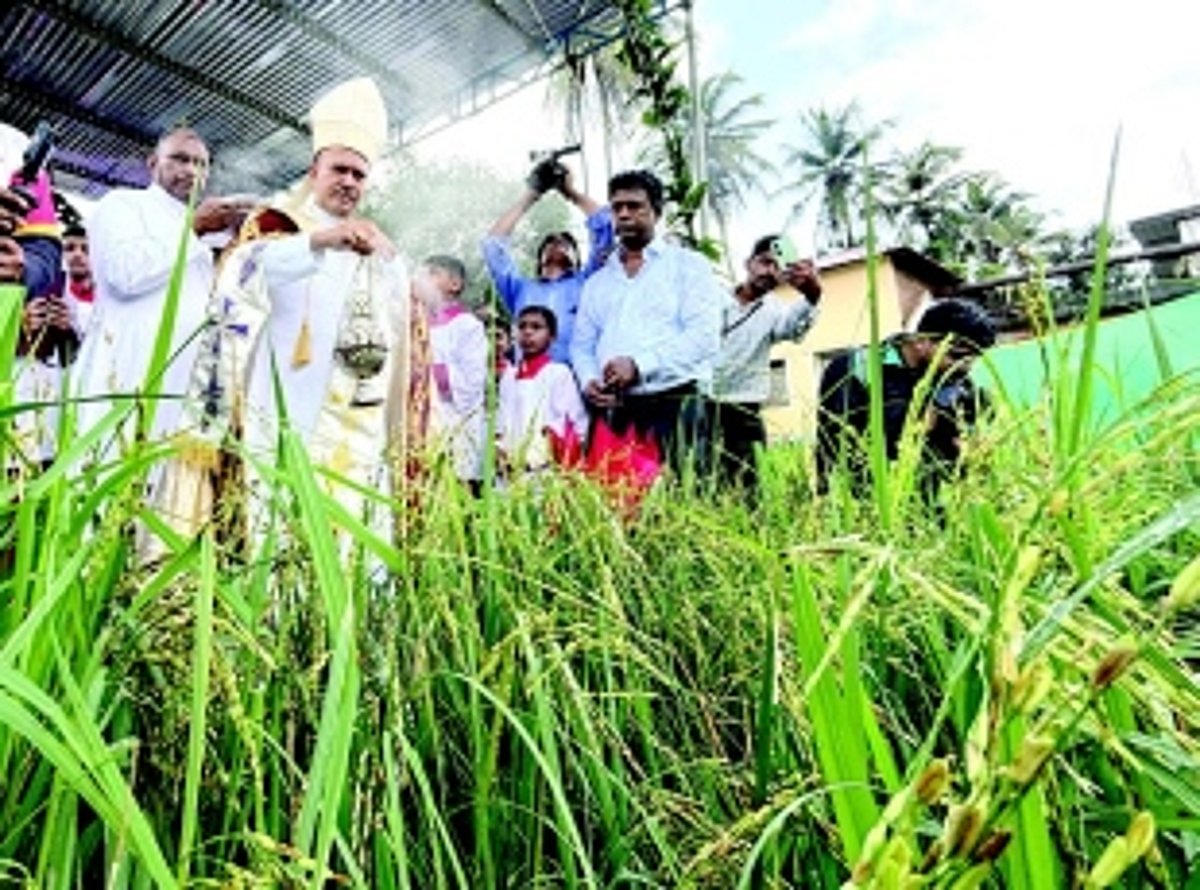 Raia villagers celebrate Konsanchem  Fest with pomp and fervour