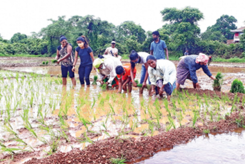Raia youth revive abandoned agricultural field on Fr Cristo Pinto’s initiative