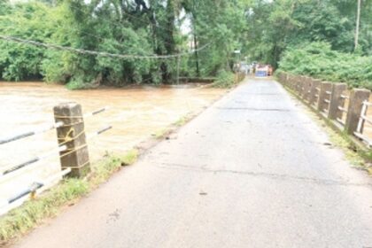 Railing of Paroda bridge washed away with floods