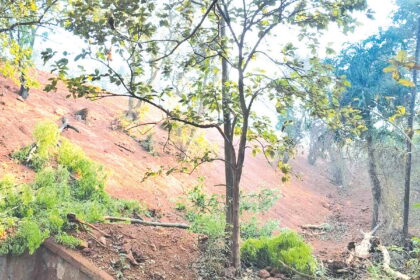 Railway contractor encroaching, cutting trees without permission, alleges Issorcim villager