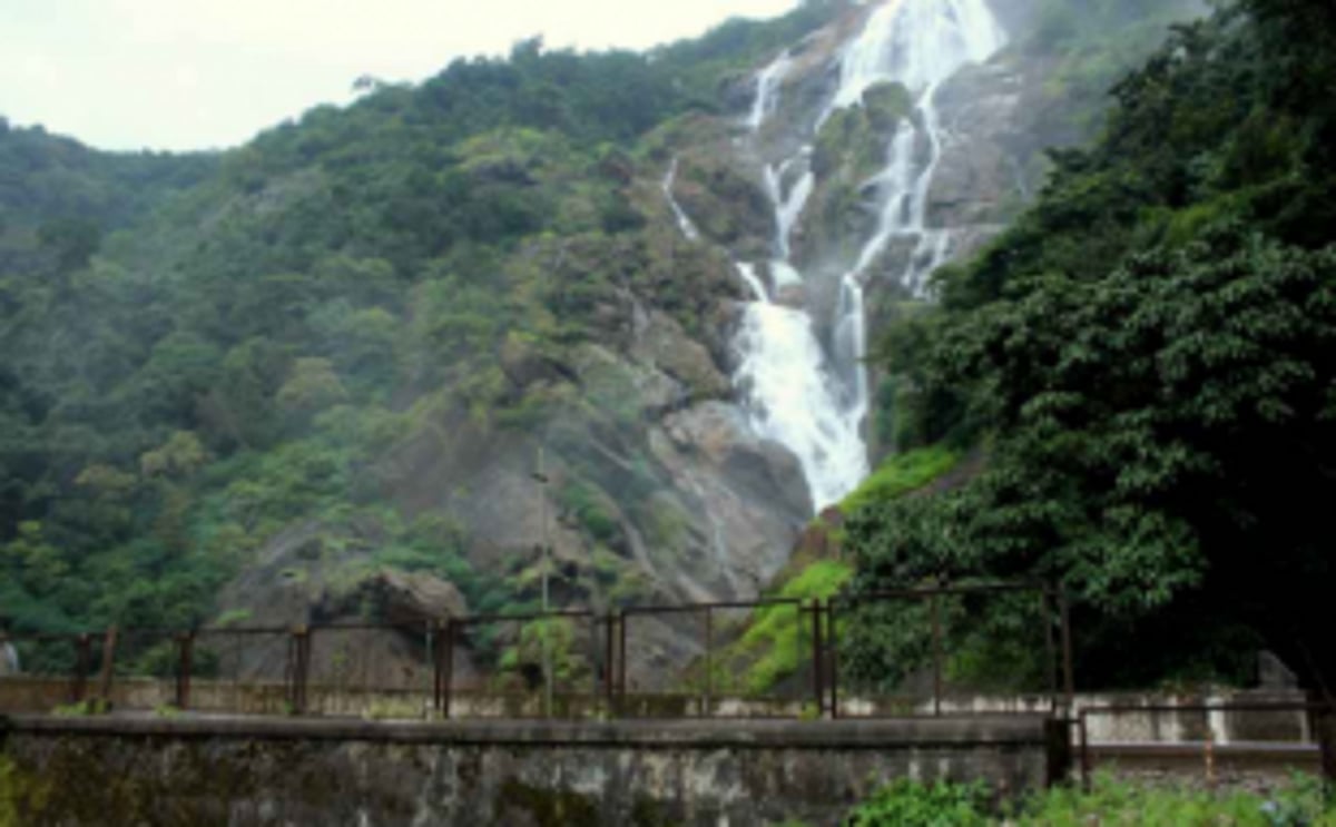 Railway line won’t disturb Dudhsagar falls, Rail officials tell CEC