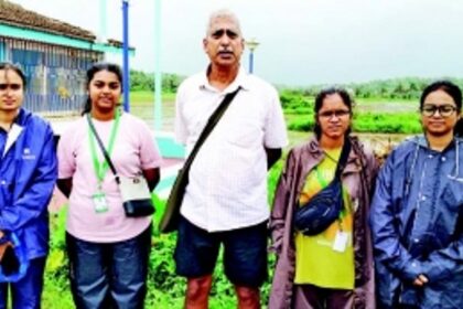 Rain brings pain to Aldona farmers; crops destroyed