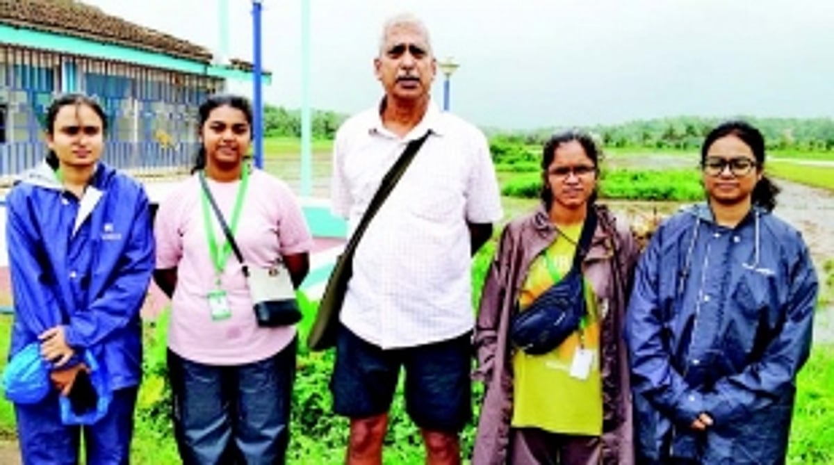 Rain brings pain to Aldona farmers; crops destroyed