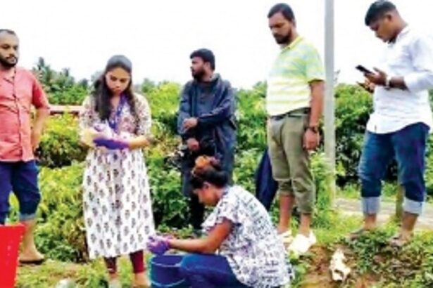 Rain sweeps poorly stored garbage sludge into rivulet, killing fish in Cacora