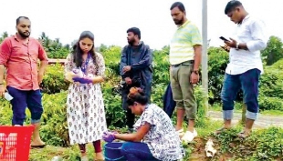 Rain sweeps poorly stored garbage sludge into rivulet, killing fish in Cacora
