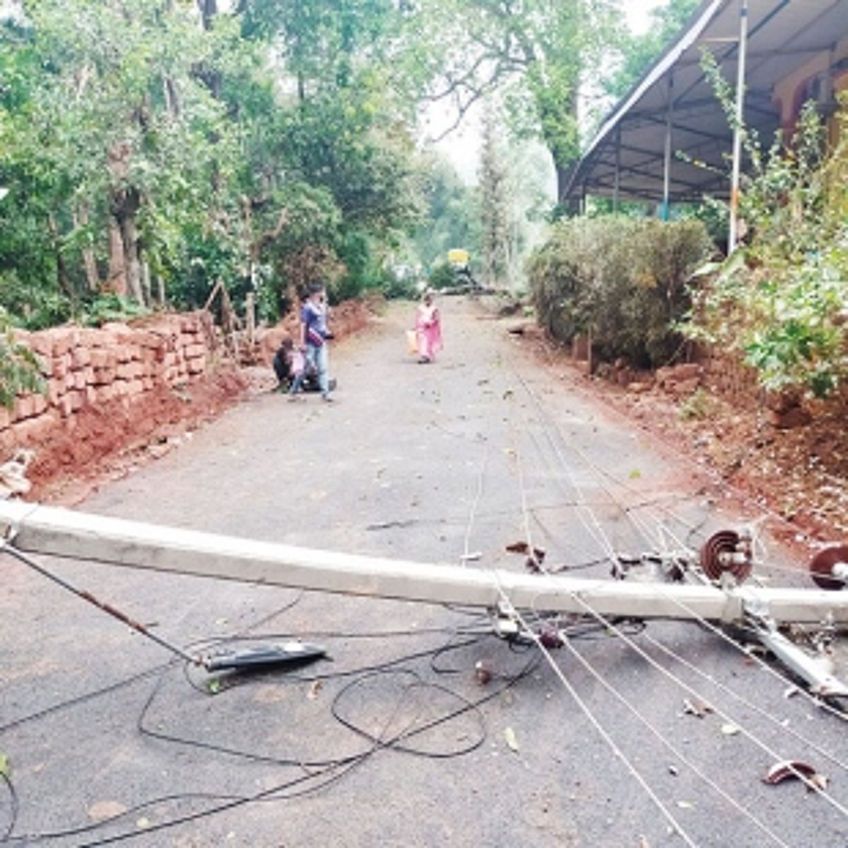 Rain, thunder cause heavy losses