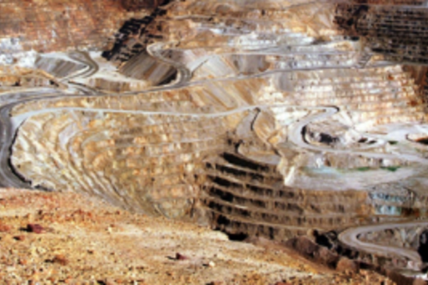 Rainbow Warriors urges govt not to take decision on mining blindly