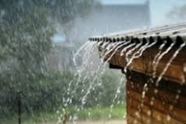 Rainfall continues to play  hide-and-seek in Goa