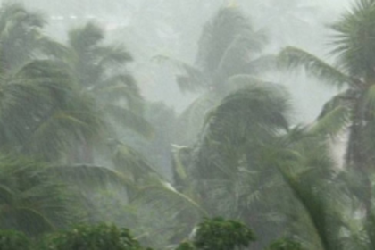 Rainfall, gusty winds play  havoc in Sattari, Ponda