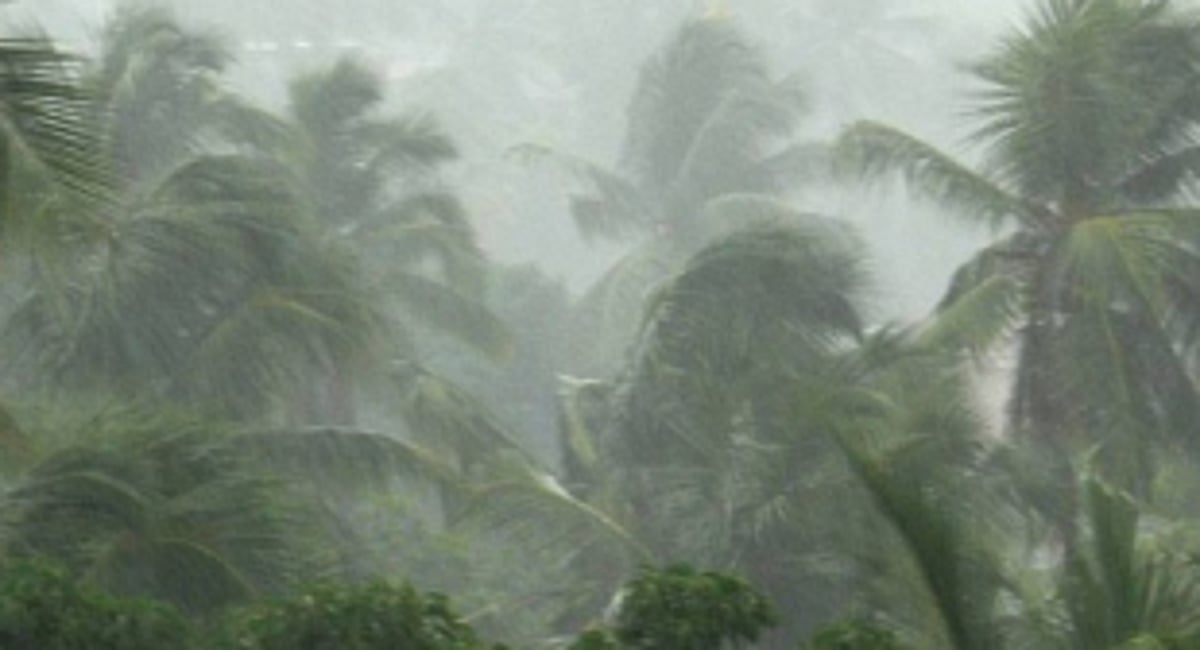 Rainfall, gusty winds play  havoc in Sattari, Ponda