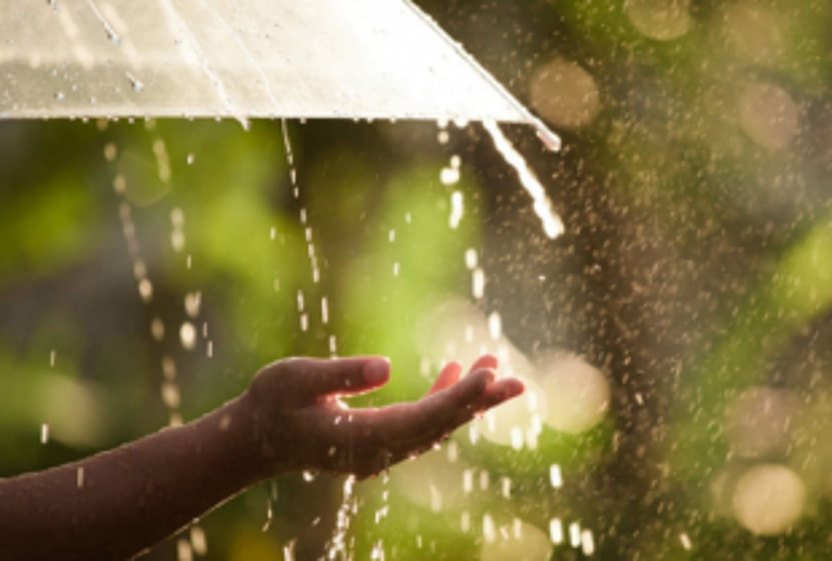 Rainfall  likely from May 14 to 17