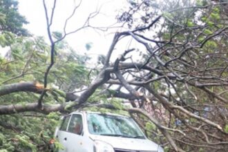 Rains hit south TN, Kerala as Cyclone Ochki heads to Lakshadweep