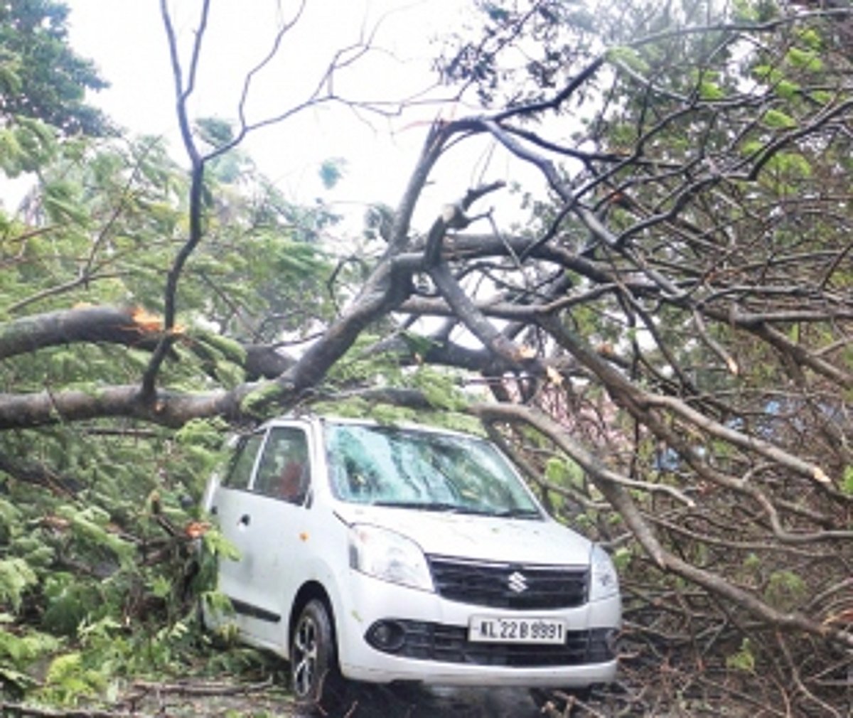 Rains hit south TN, Kerala as Cyclone Ochki heads to Lakshadweep