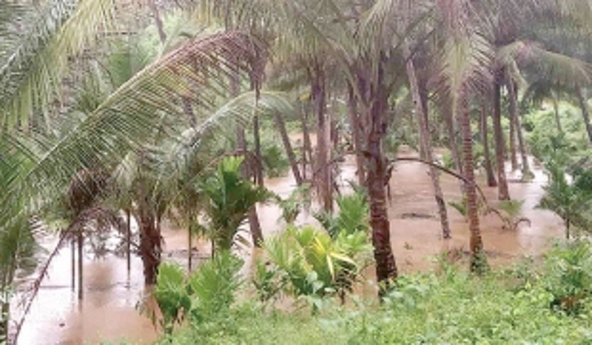 Rains put normal life out of gear in Sanguem