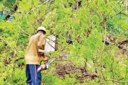 Rains wreak havoc in Pernem, Bardez talukas