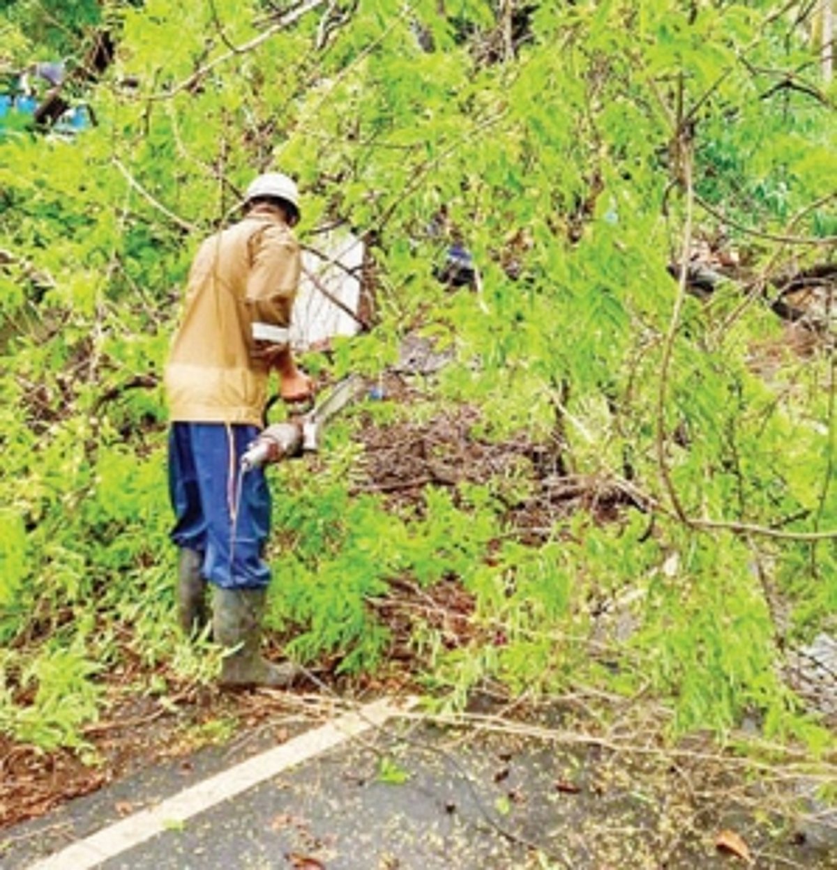 Rains wreak havoc in Pernem, Bardez talukas