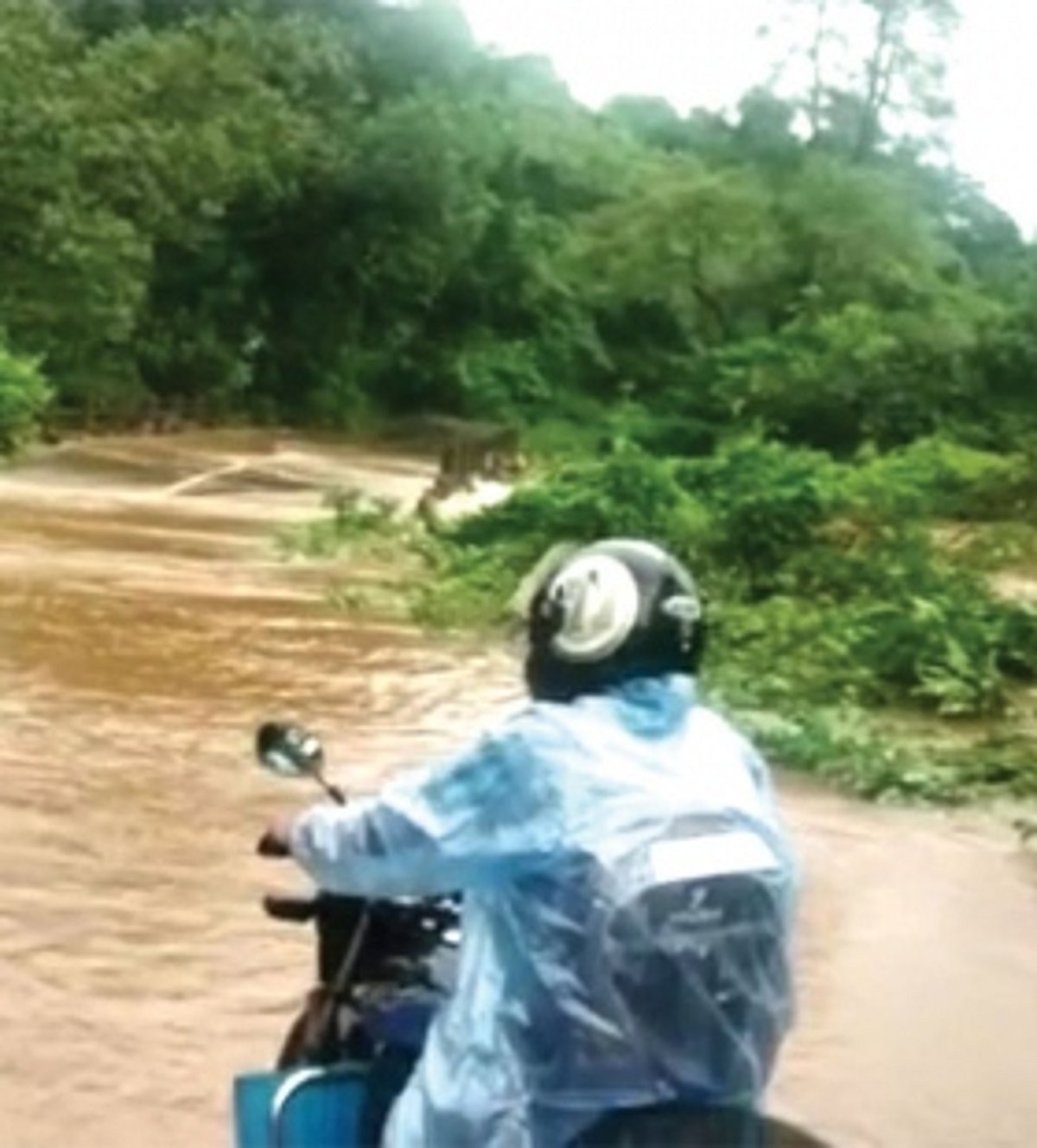 Rainwater floods homes, enters plantations