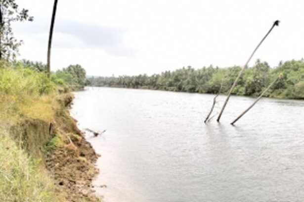 Rampant sand extraction in Chapora River  has destroyed our agri  land: Talarna farmers