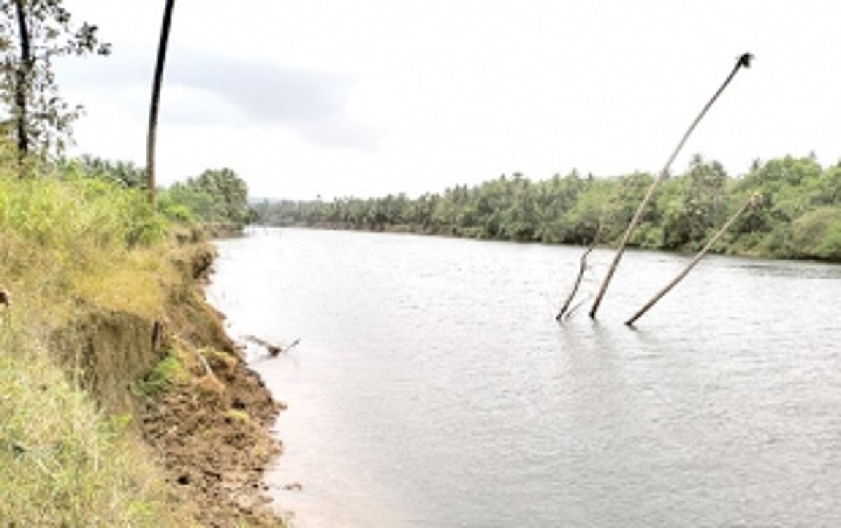 Rampant sand extraction in Chapora River  has destroyed our agri  land: Talarna farmers