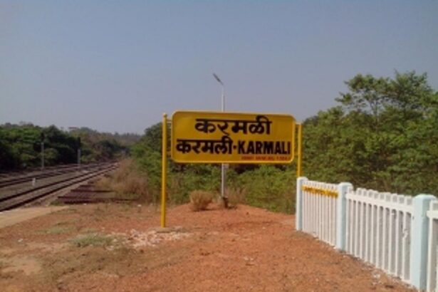 Rampant tree felling near Karmali railway station angers locals