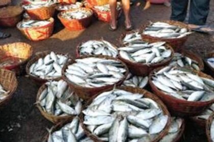Rampant unauthorised, unregulated retail fish sale needs to stop: SGPDA fish market retailers