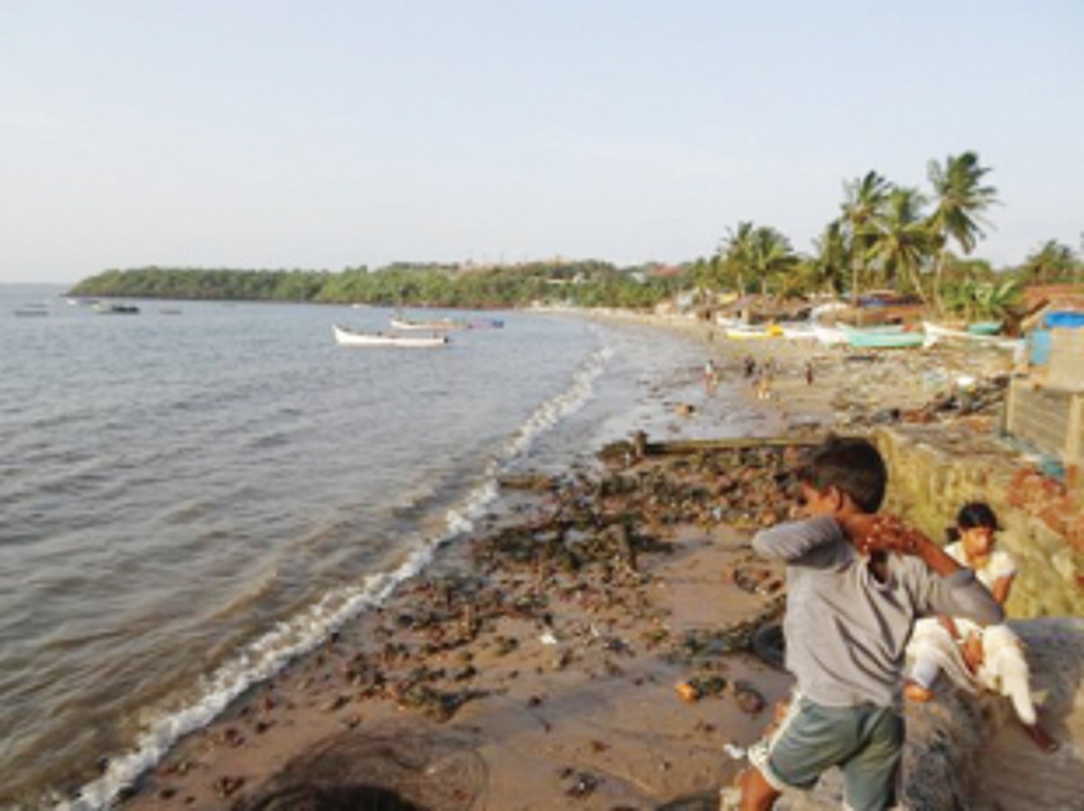 Ramponkars on verge of extinction