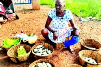 Ramponkars suffer losses as wholesale  fish market closes at 10 am