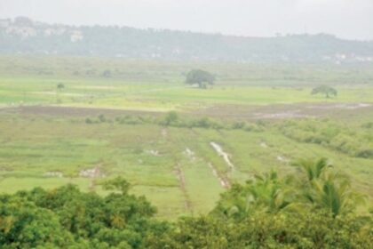 Rane rules out scrapping Sec  17 (2) of TCP Act