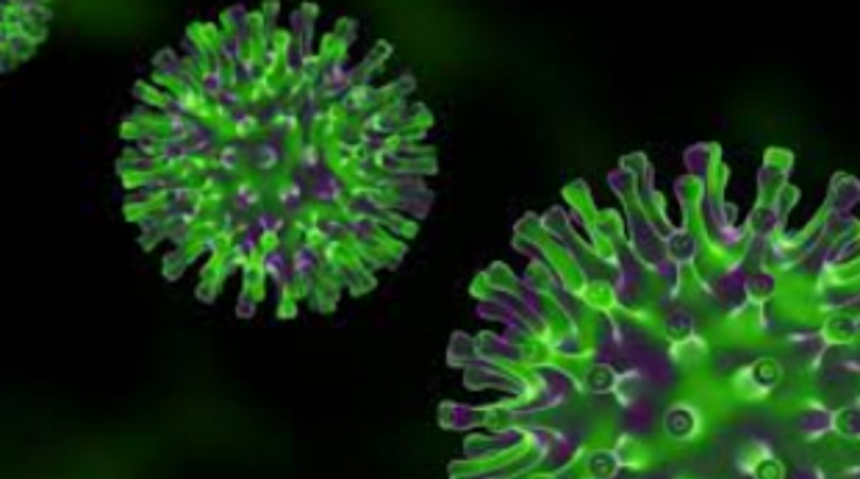 Rapid omicron spread raises fresh concerns 1 Rapid omicron spread raises fresh concerns