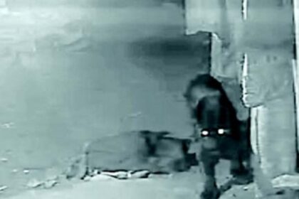Rare Black Panther ‘captured’ on CCTV at Dharbandora