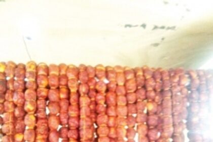 Raw material shortage limits Goan choris manufacturers