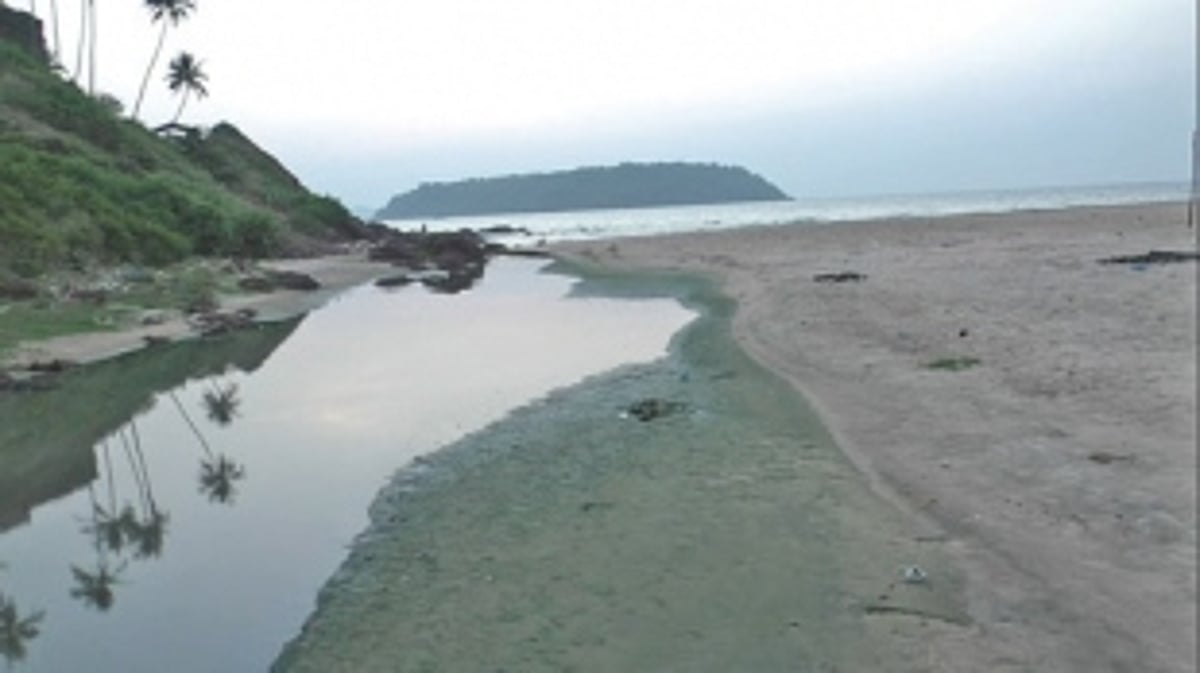 Raw sewage flowing into sea at Vasco