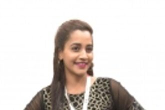 Reach of big screens shrink with OTT advent say studio bigwigs