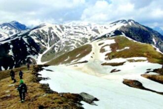 Reaching great heights quite literally