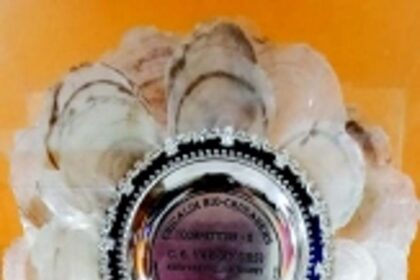 Ready to tickle your brain with Goa’s favourite parkonnim?