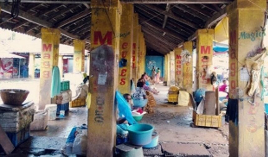 Real development  eludes Pednekars