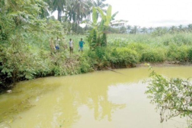 Rebuked for drinking liquor,  father jumps into well