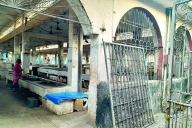 Recent fish ‘heist’ exposes neglected state of SGPDA’s retail fish market