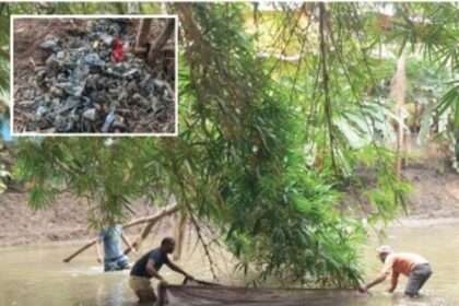 Reclaiming village ponds, with a little help from migrants