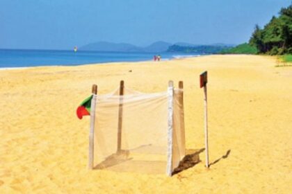 Recommendations under the Sea Turtle Nesting and Habitat Management Plan