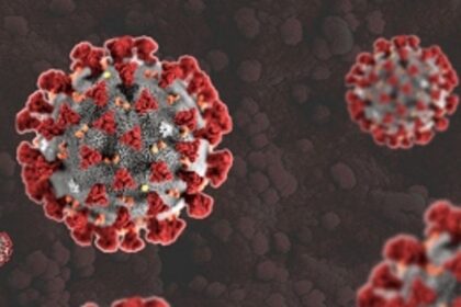 Recoveries up, but four more lose lives to COVID-19