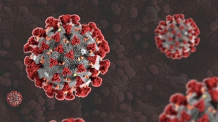 Recoveries up, but four more lose lives to COVID-19