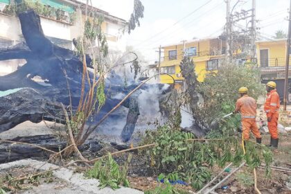 Recurring Grass Fires Alarm Taleigao Residents; Authorities Struggle to Contain Blazes